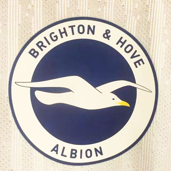 Brighton CAMISETA de la 1ª EQUIPACIÓN 24-25 VERSIÓN JUGADOR